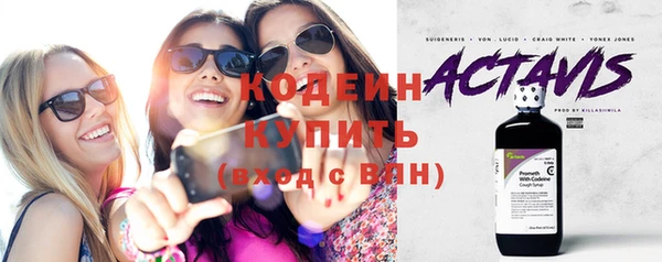 хмурый Нея