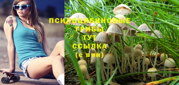 прущие крисы Воткинск