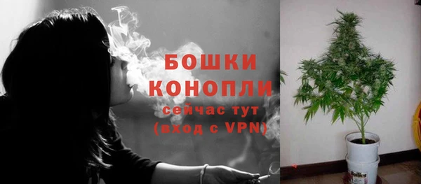 хмурый Нея