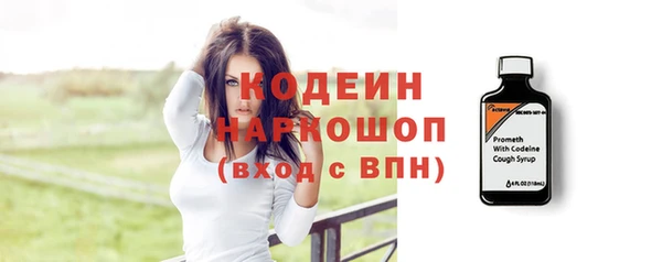 хмурый Нея