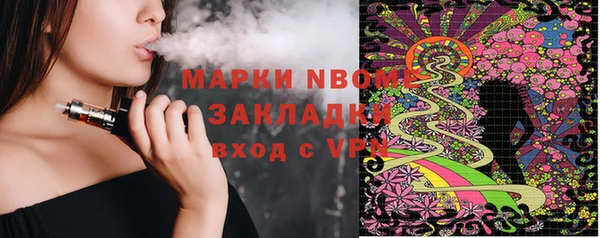 хмурый Нея