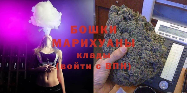 хмурый Нея