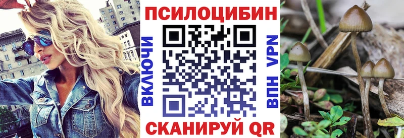Галлюциногенные грибы Cubensis  KRAKEN как войти  Руза 